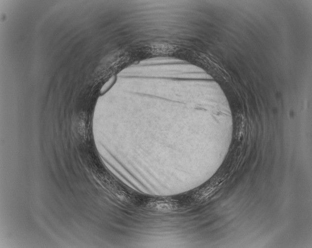 X0000060560655200512011643
