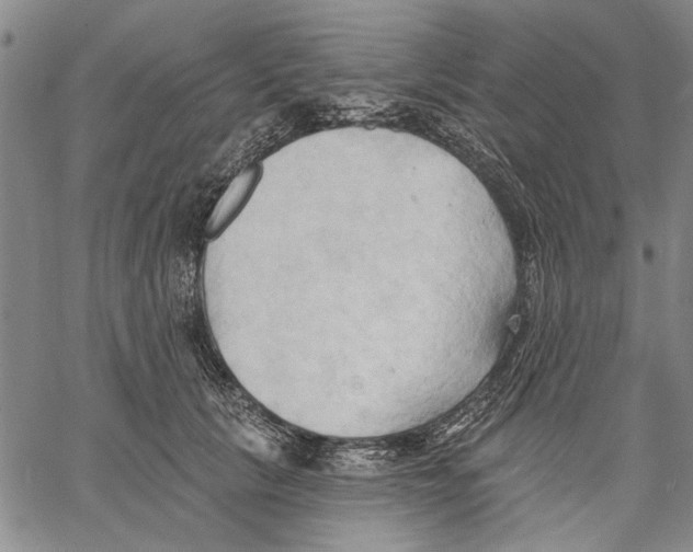 X0000060560657200512011643