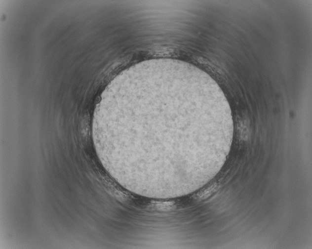 X0000060560665200512011643