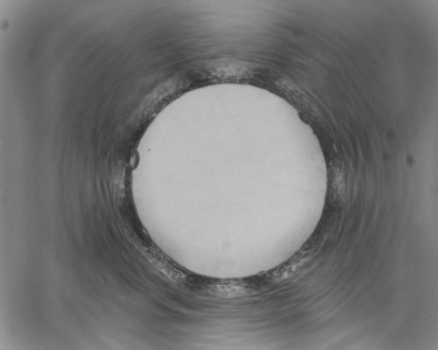 X0000060560668200512011643