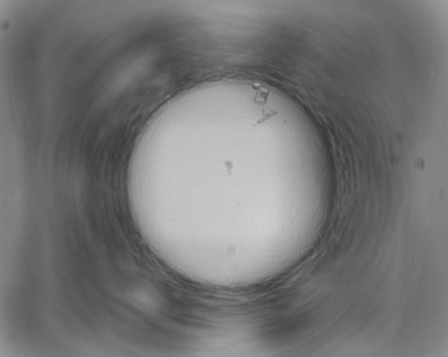 X0000060560672200512011643