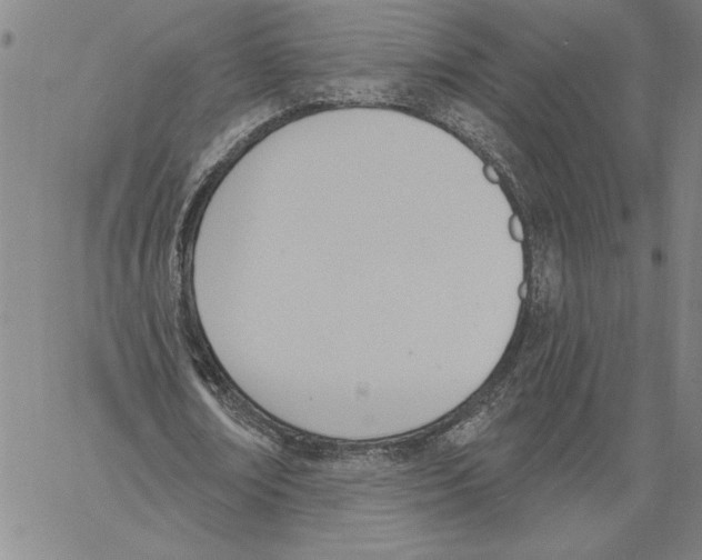X0000060560674200512011642