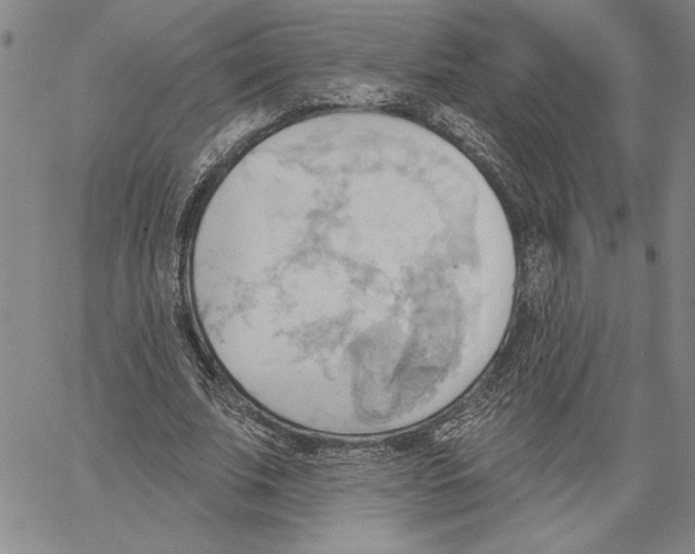 X0000060560679200512011642