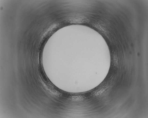 X0000060560686200512011642