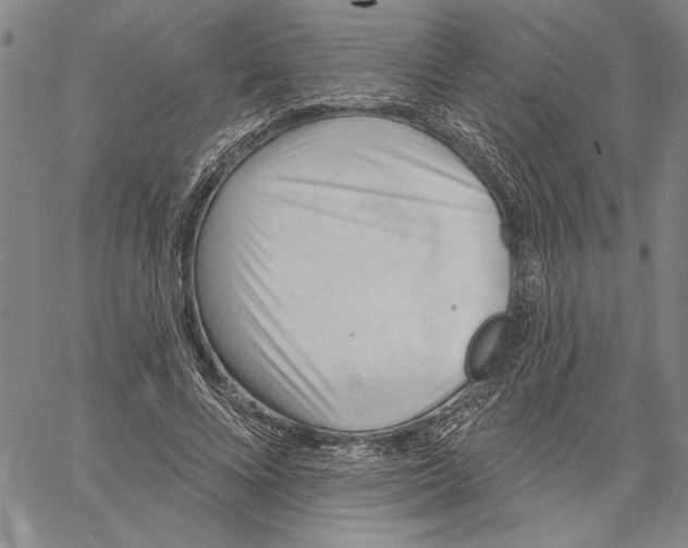 X0000060560688200512011642