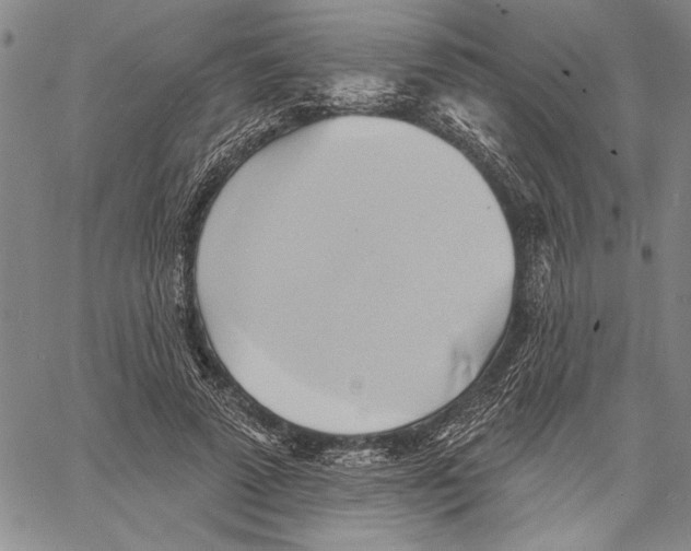 X0000060560689200512011642