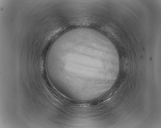 X0000060560692200512011642