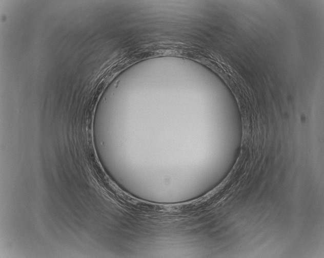 X0000060560696200512011642
