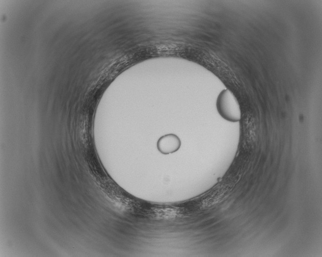 X0000060560698200512011642