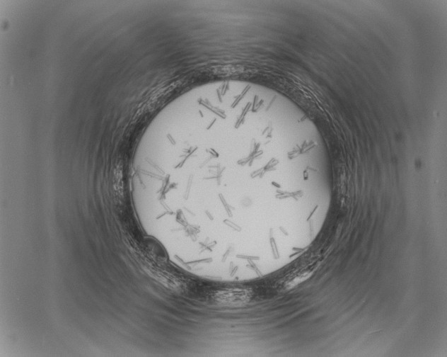 X0000060560700200512011642
