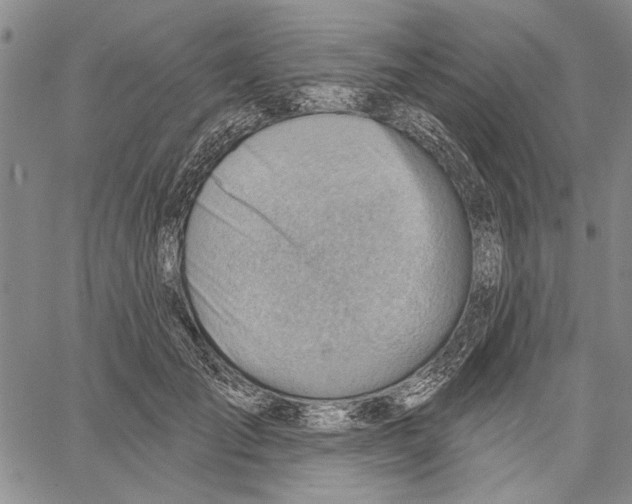 X0000060560701200512011642