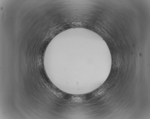 X0000060560706200512011642