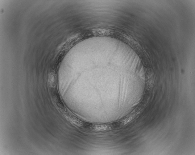 X0000060560709200512011642