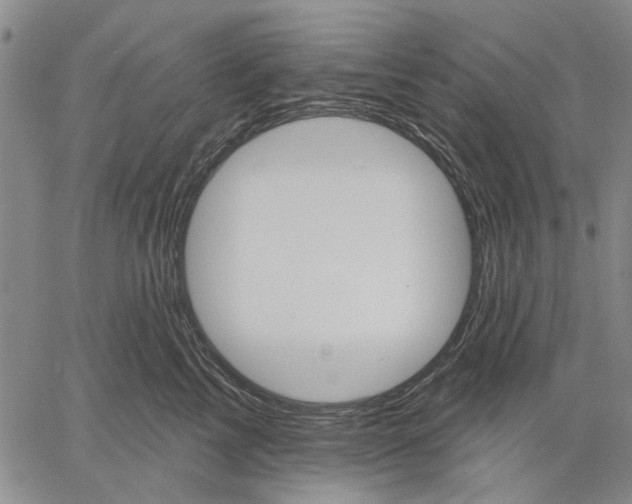 X0000060560713200512011642