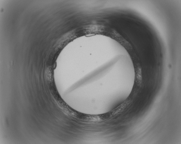 X0000060560715200512011642