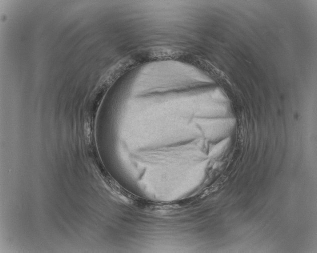X0000060560716200512011642
