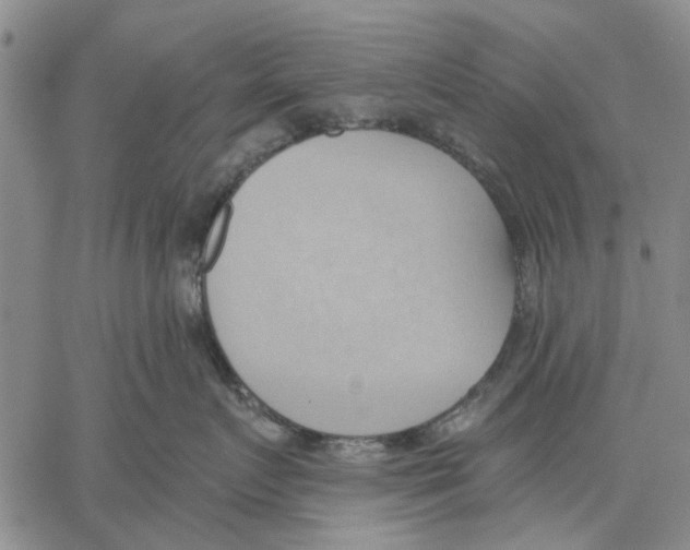 X0000060560719200512011642