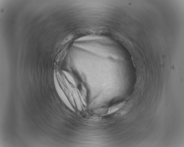 X0000060560720200512011642