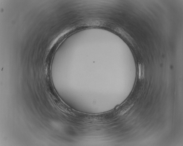 X0000060560723200512011641