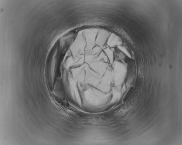 X0000060560724200512011641