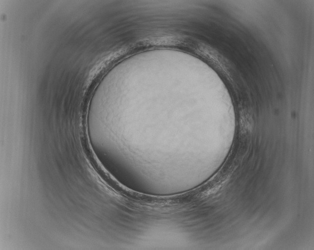 X0000060560725200512011641