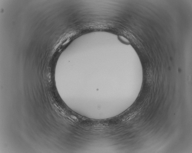 X0000060560731200512011641