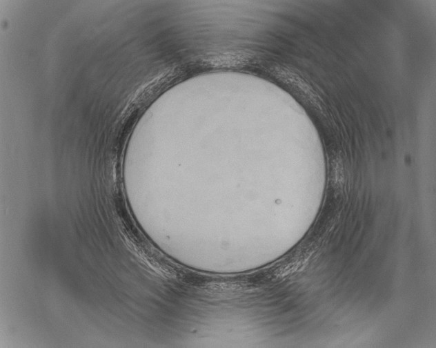 X0000060560733200512011641
