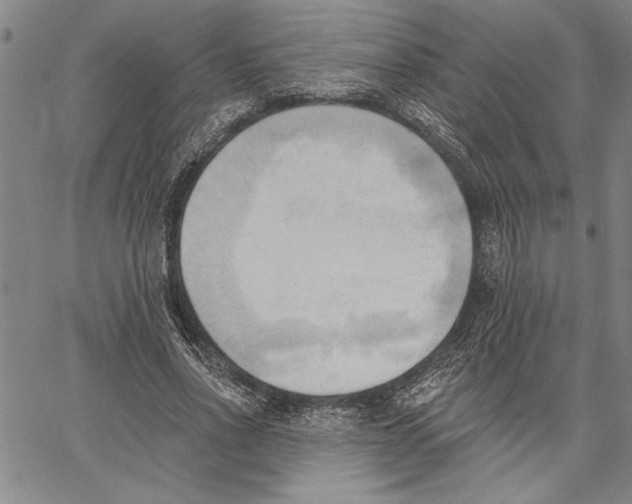 X0000060560734200512011641