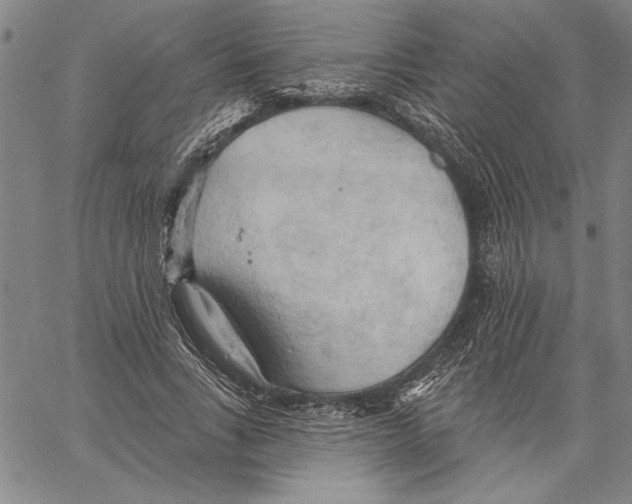 X0000060560735200512011641