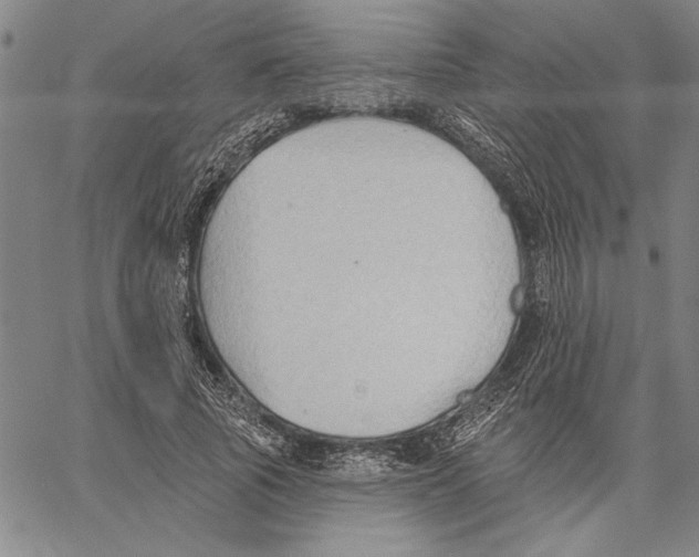 X0000060560737200512011641