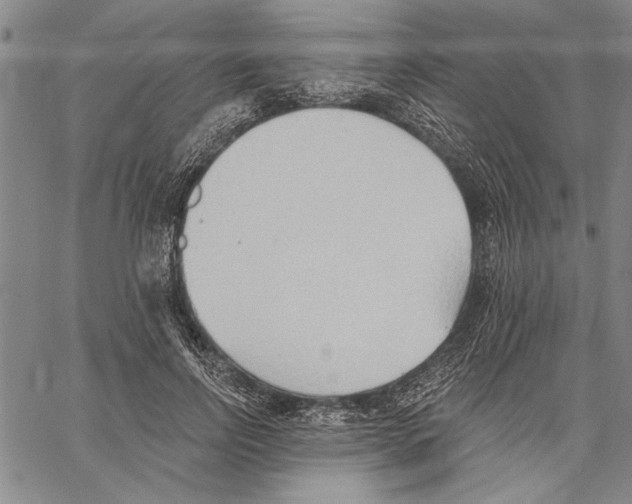X0000060560742200512011641