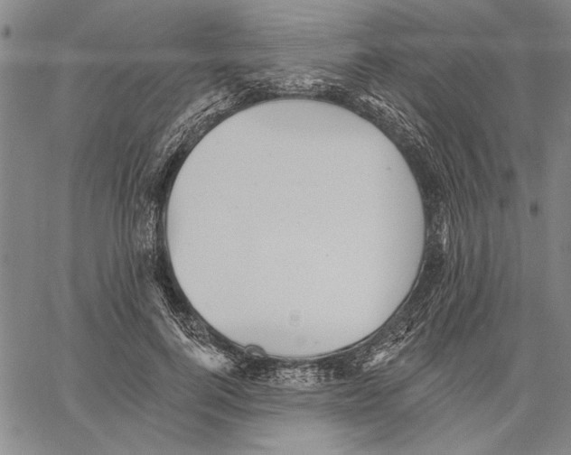 X0000060560744200512011641