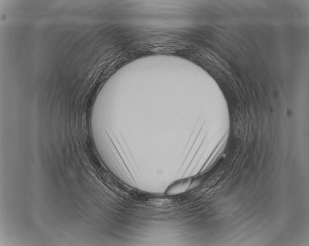 X0000060560748200512011641