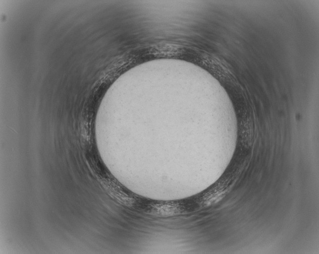 X0000060560755200512011641