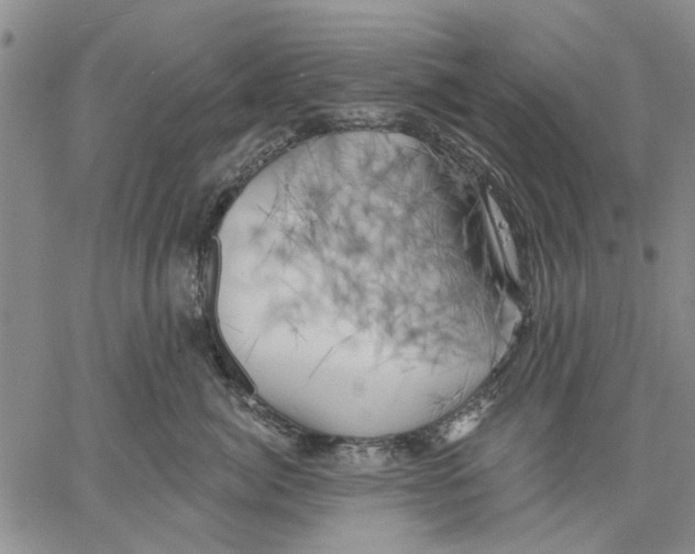 X0000060560764200512011641