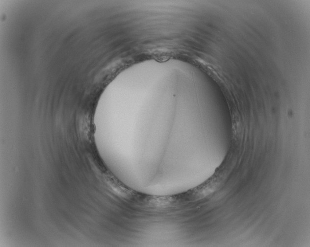 X0000060560767200512011642