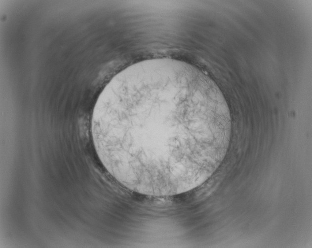 X0000060560768200512011642