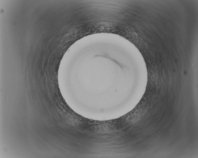 X0000060560769200512011641