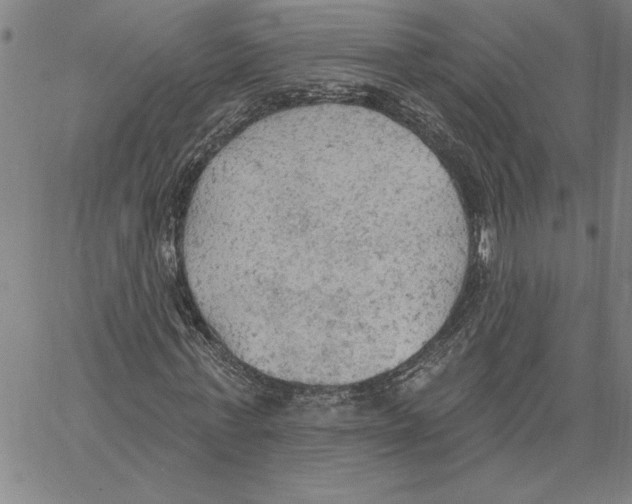 X0000060560771200512011641