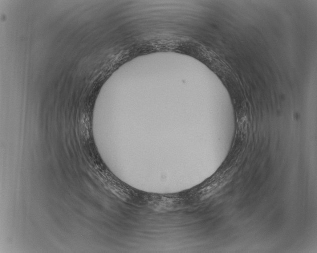 X0000060560772200512011641