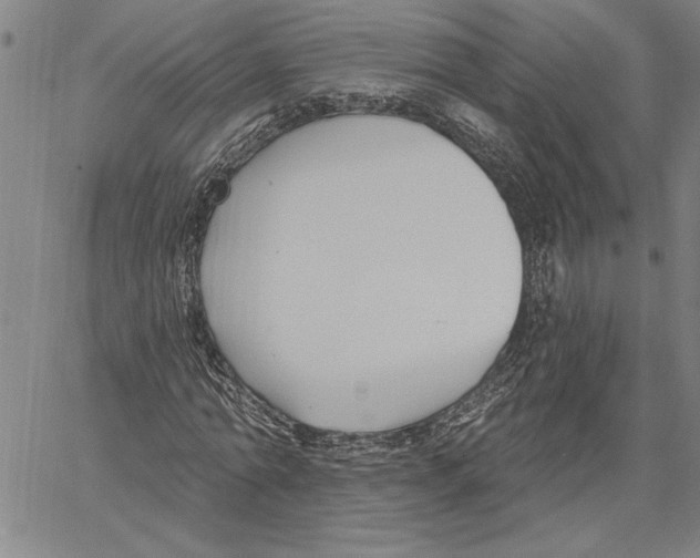 X0000060560774200512011641