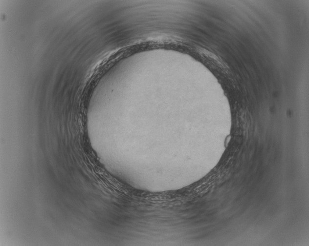 X0000060560776200512011641