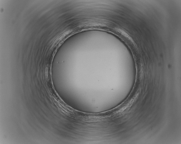 X0000060560777200512011641