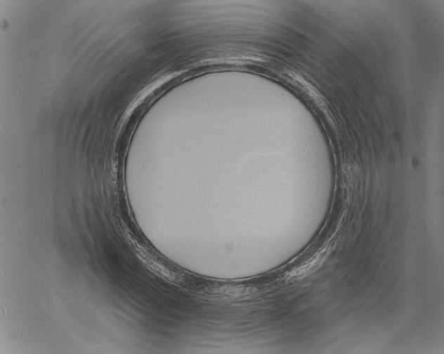 X0000060560779200512011641