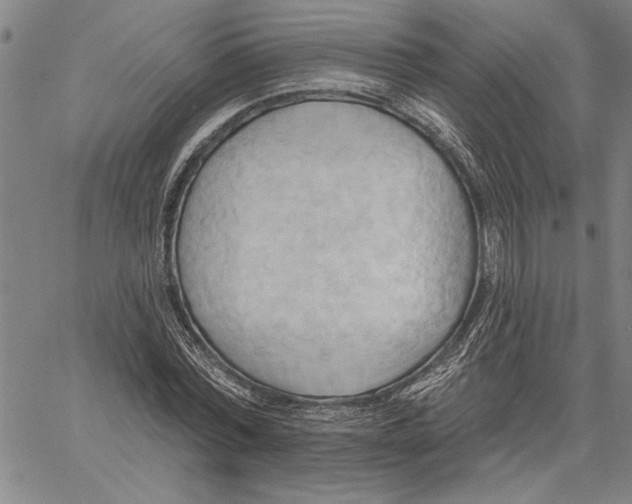 X0000060560780200512011641