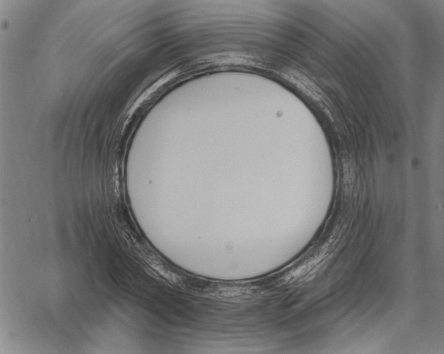 X0000060560782200512011641