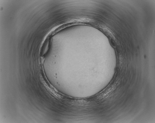 X0000060560784200512011640