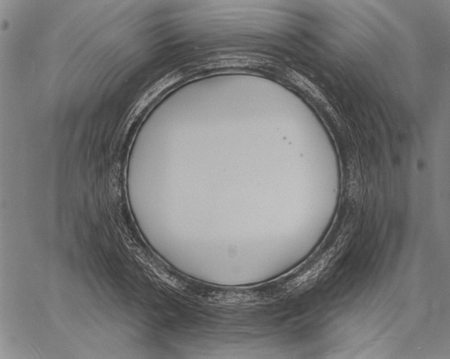 X0000060560786200512011640