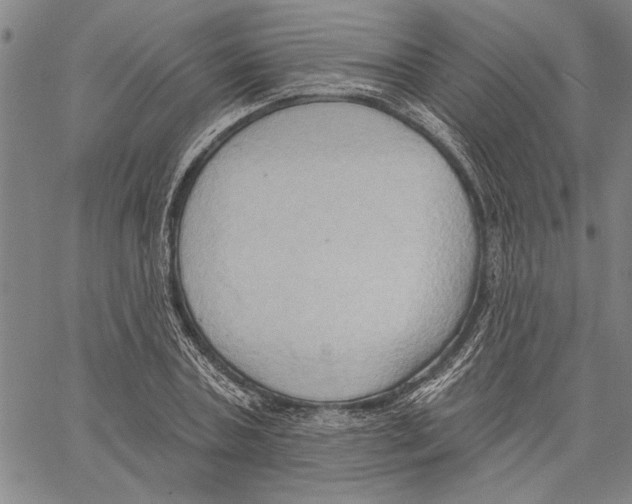 X0000060560787200512011640