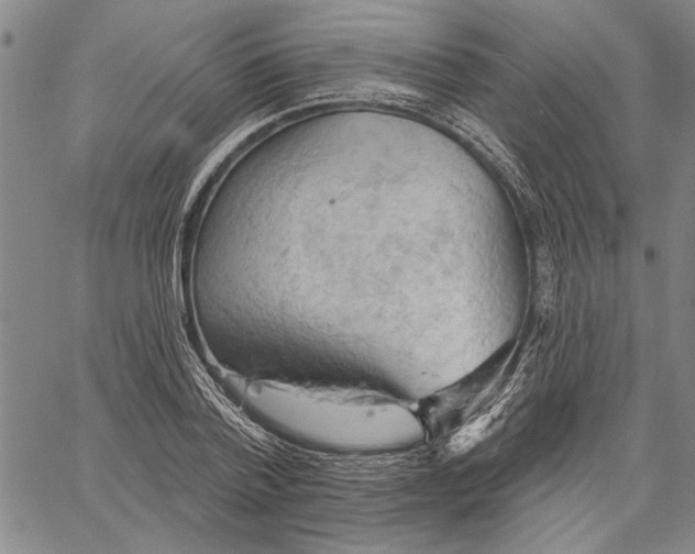 X0000060560788200512011640